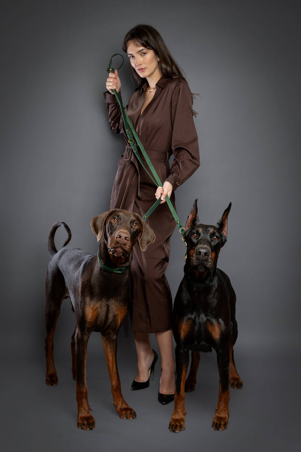 The Walking Leash