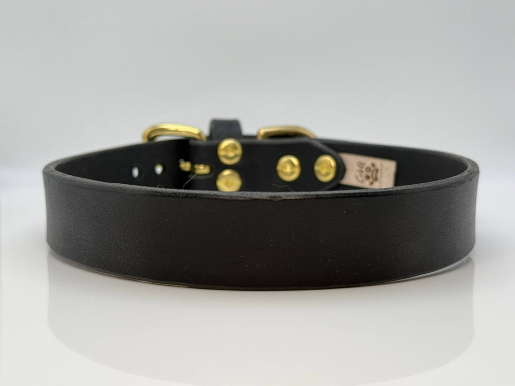 The Signature Collar